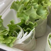 Fancy summer roll end pieces  at Chaang Thai in Morgantown