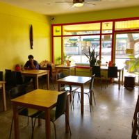 Interior at Tastebuds in Willits