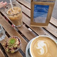 Iced oatmilk latte and oatmilk cappuccino at Ecocafe in Budapest