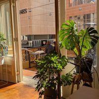 Patio (August 2025) at Two-Bit Villains in Adelaide