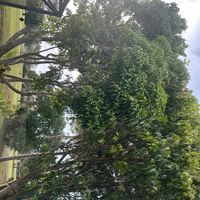   at Brigitte's Tropical Vegan Oasis in Royal Palm Beach