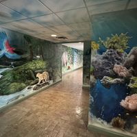 Extinct species hall   at Skinny Pancake in Burlington