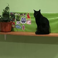   at Guak-Mole in Puebla