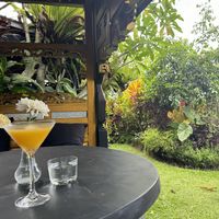   at Joyously Raw in Ubud