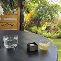   at Joyously Raw in Ubud