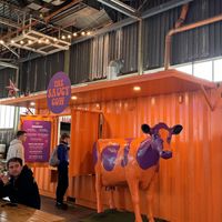   at The Saucy Cow in Cork