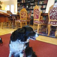  at Streif - Nidaros Pilegrimsgård in Trondheim