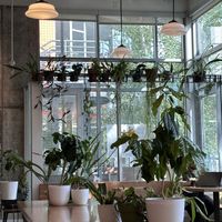   at Likewise in Milwaukee