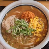 Large vegan miso udon at Marugame Udon  in Costa Mesa