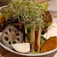 Mountain Salad at AIN SOPH.Journey in Tokyo