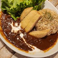 Hayashi rice at AIN SOPH.Journey in Tokyo