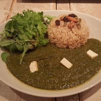 Green Curry at AIN SOPH.Journey in Tokyo
