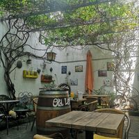  at Old Lemon Tree in Klagenfurt