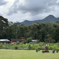   at Trilhas do Araçari in Nova Friburgo