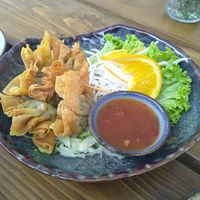 some fried dumplings at Loy Vegan in Trier