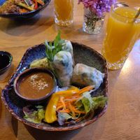 Goi Cuon at Loy Vegan in Trier