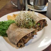 Vegan Burrito at Driftwood Cafe in South Lake Tahoe