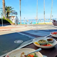   at The Naughty Fox in Santa Catalina Island
