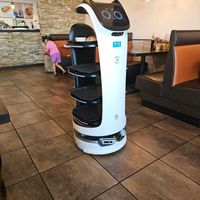 They have robots to take the food to the table at Pho You in Kyle