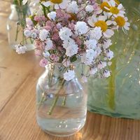  at Gartencafé Wiligrad in Luebstorf