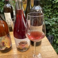 Orange wine  at Bardzo in Poznan