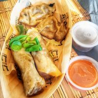 Involtini primavera e gyoza al vapore at Lala Noodles in Naples