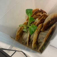 Home made gyoza veggy at Lala Noodles in Naples