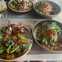   at Puri   in Shkoder