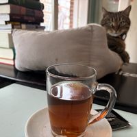   at Motion Coffee  in Amsterdam