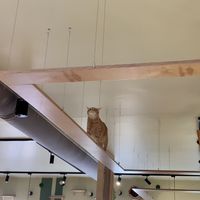   at Katzentempel - Freiburg in Freiburg