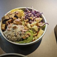  at Katzentempel - Freiburg in Freiburg