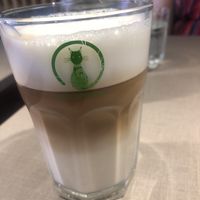 White Chocolate Latte  at Katzentempel - Freiburg in Freiburg