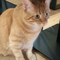  at Katzentempel - Freiburg in Freiburg