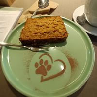  at Katzentempel - Freiburg in Freiburg