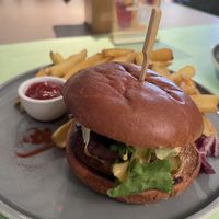   at Katzentempel - Freiburg in Freiburg