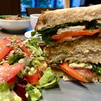   at Katzentempel - Freiburg in Freiburg