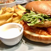   at Katzentempel - Freiburg in Freiburg