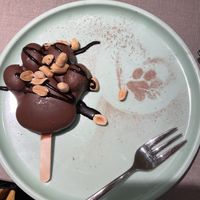 “Snickers"  at Katzentempel - Freiburg in Freiburg