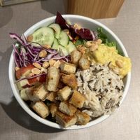   at Katzentempel - Freiburg in Freiburg