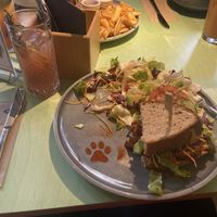   at Katzentempel - Freiburg in Freiburg