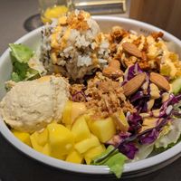 Tiger bowl at Katzentempel - Freiburg in Freiburg