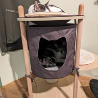  at Katzentempel - Freiburg in Freiburg