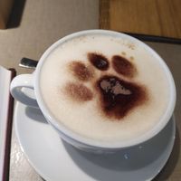  at Katzentempel - Freiburg in Freiburg