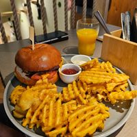  at Katzentempel - Freiburg in Freiburg