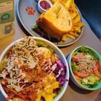  at Katzentempel - Freiburg in Freiburg