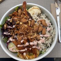 Tiger bowl  at Katzentempel - Freiburg in Freiburg