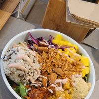  at Katzentempel - Freiburg in Freiburg