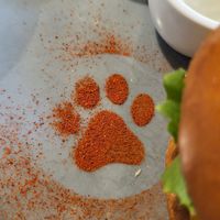  at Katzentempel - Freiburg in Freiburg