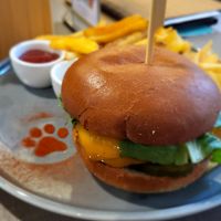  at Katzentempel - Freiburg in Freiburg