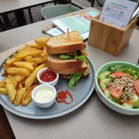  at Katzentempel - Freiburg in Freiburg